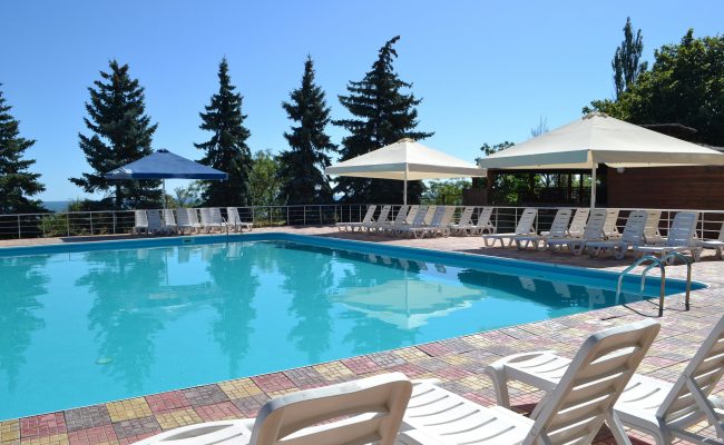 vecteezy_poolside-sunbeds-near-swimming-pool-surrounded-by-pine-trees_11338391_884-scaled.jpg